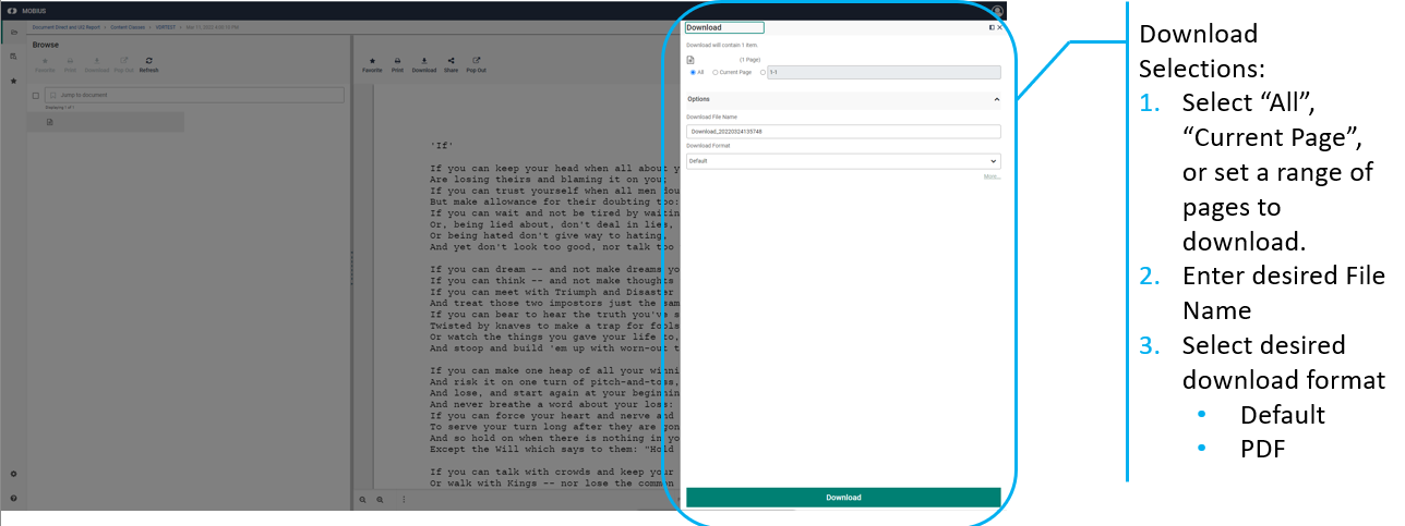 Basic options for downloading files in Mobius View.