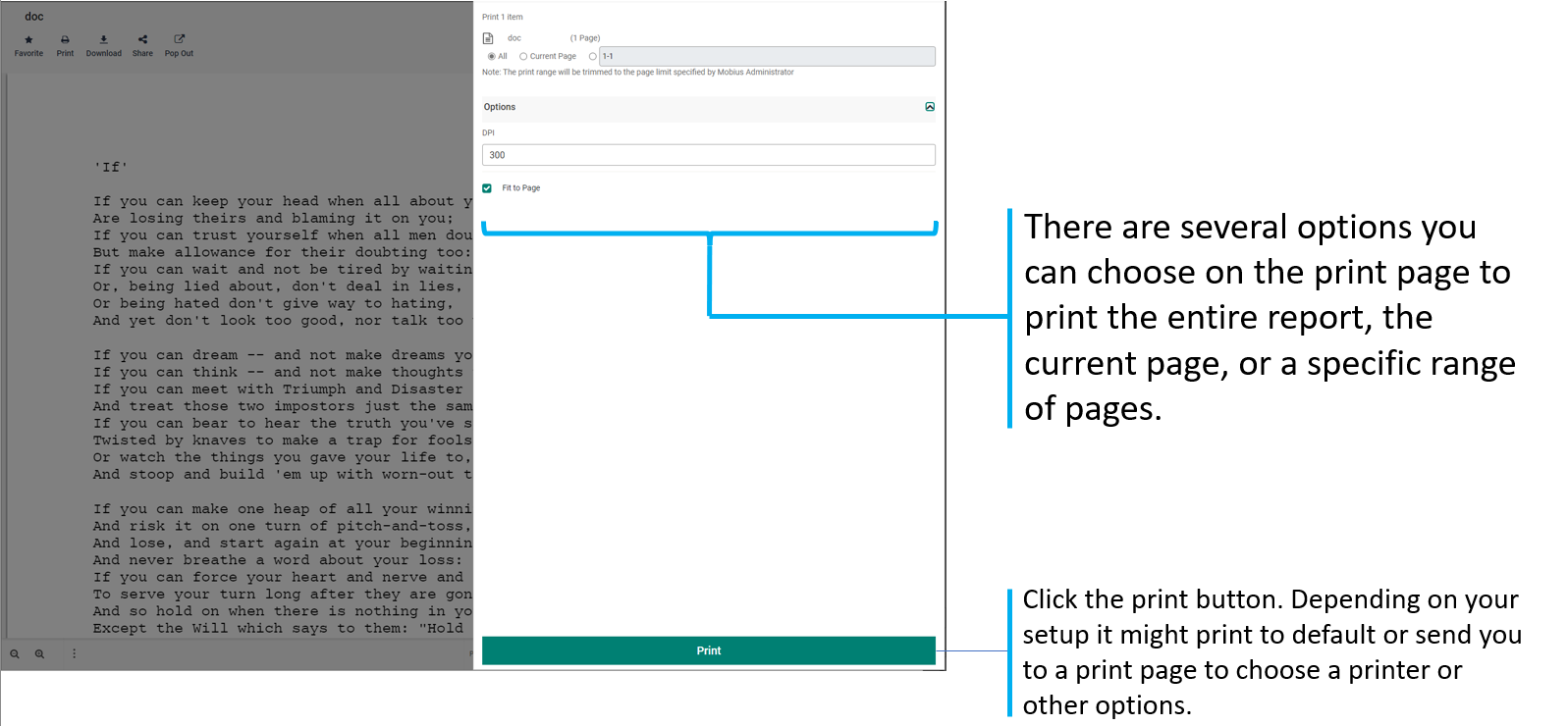 Mobius View Print Single Report Dialog