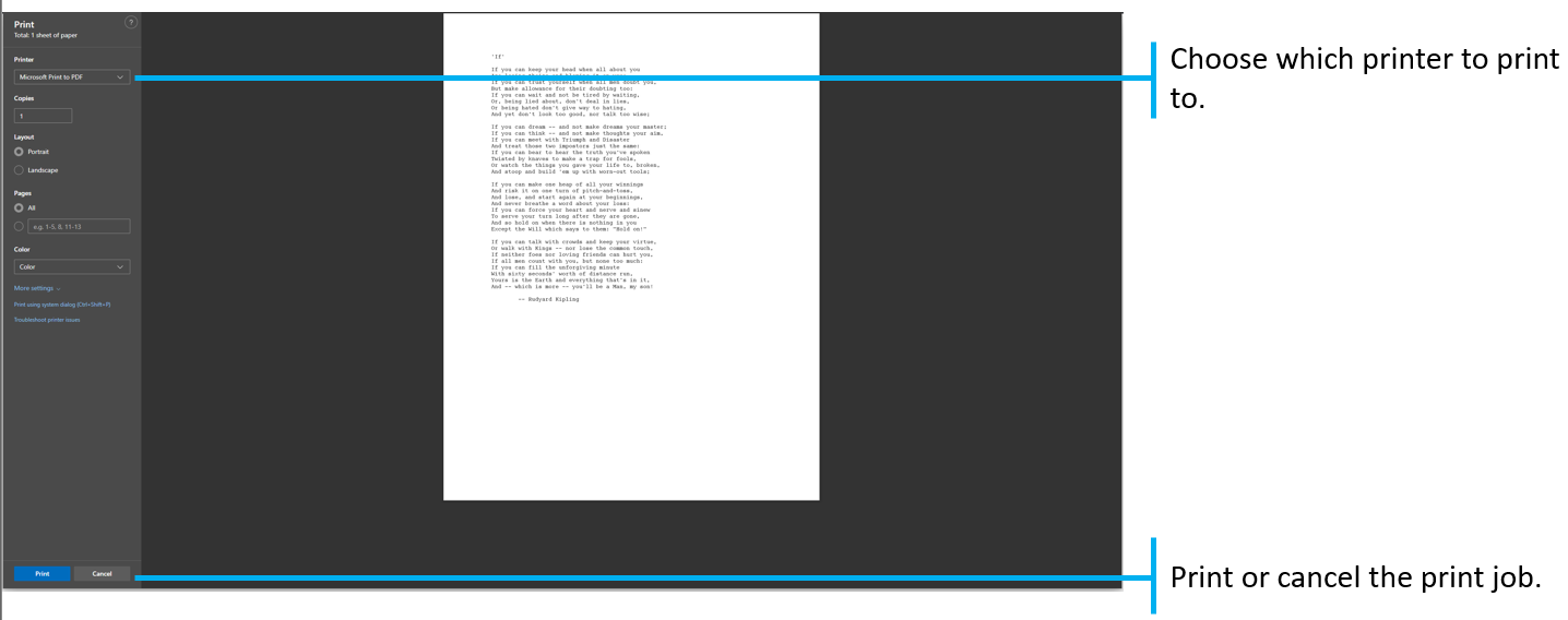 Mobius View Browser Print Panel