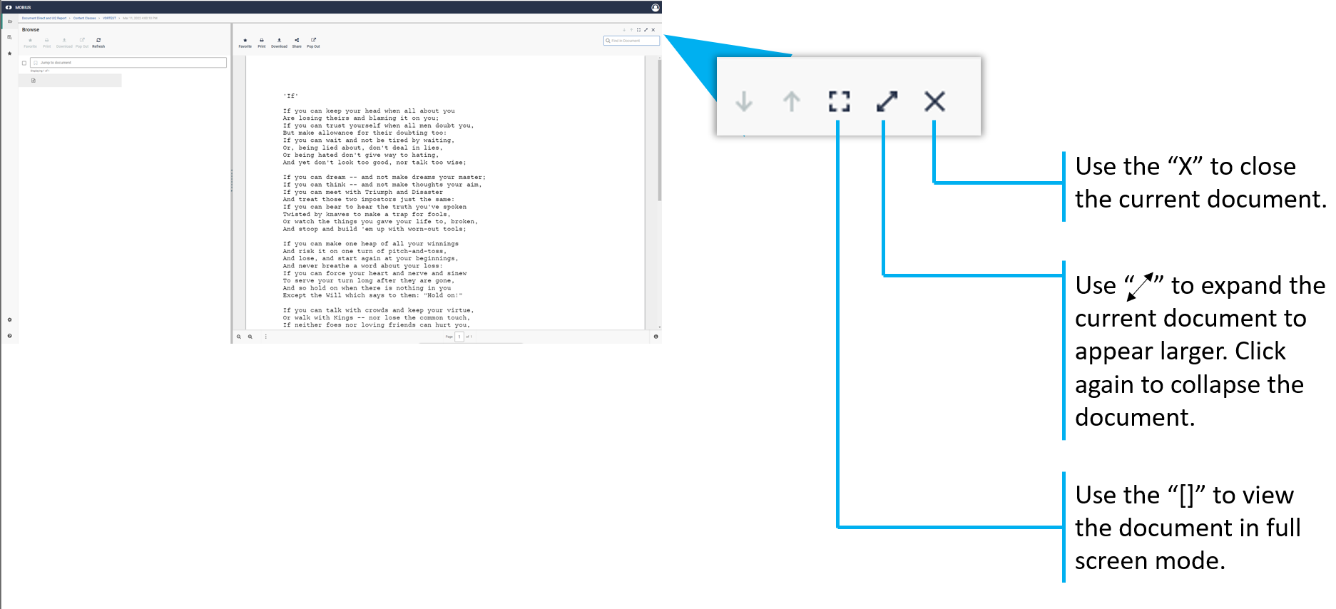 Mobius View Report Viewing Options