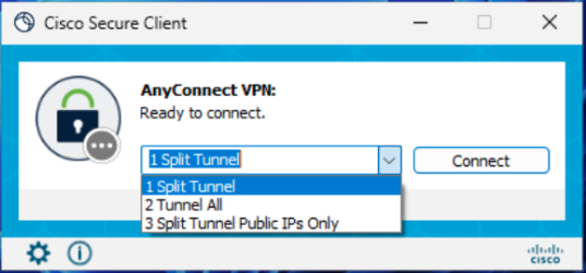 Standard VPN Profile Options