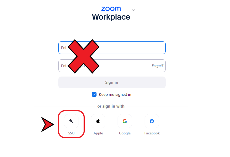 Zoom Workplace select SSO